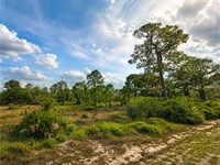 Family Stability with 0.23 Acres : Lake Placid : Highlands County : Florida