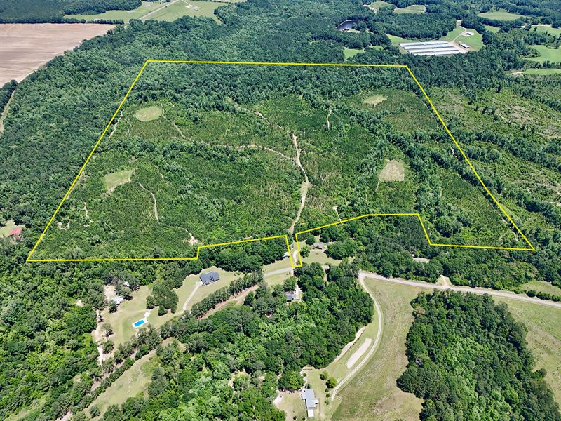 Cowpen Hunting Tract : Troy : Coffee County : Alabama
