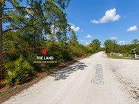 Own Florida Dirt for Just $349/Mo : Lake Placid : Highlands County : Florida