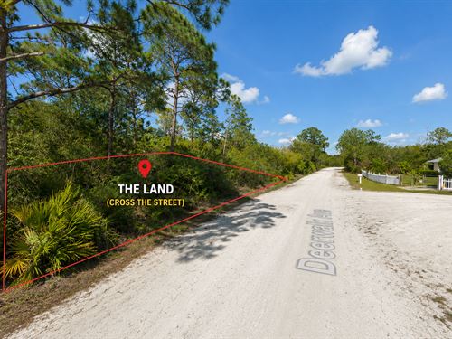 Own Florida Dirt for Just $349/Mo : Lake Placid : Highlands County : Florida