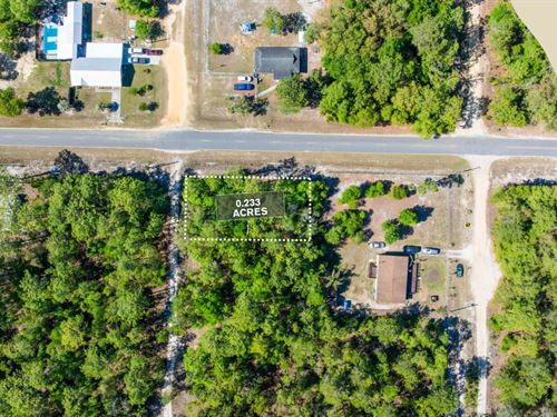 Paved Road 0.23 Acres for $199/Mo : Satsuma : Putnam County : Florida