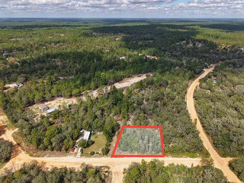 Florida Escape .29 Acre for $249/Mo : Interlachen : Putnam County : Florida