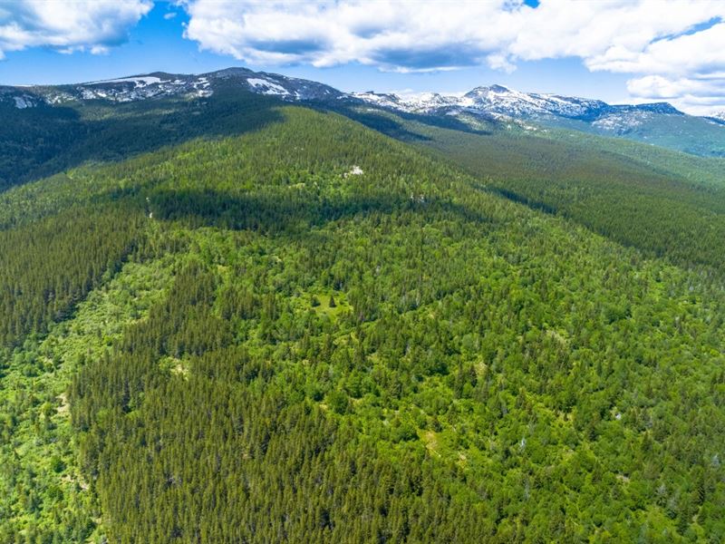Jeru Creek Overlook : Sandpoint : Boundary County : Idaho