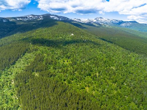 Jeru Creek Overlook : Sandpoint : Boundary County : Idaho
