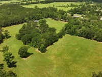 Groveton 28 : Groveton : Trinity County : Texas