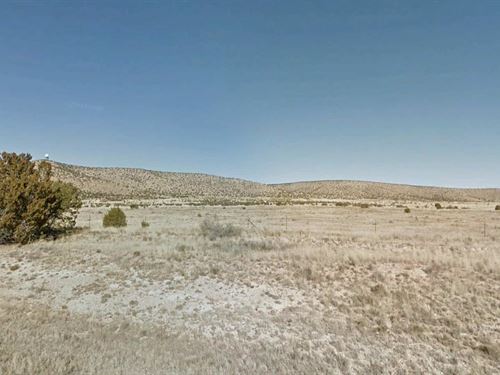 1.15 Acre in Seligman, $150/Mo : Seligman : Yavapai County : Arizona