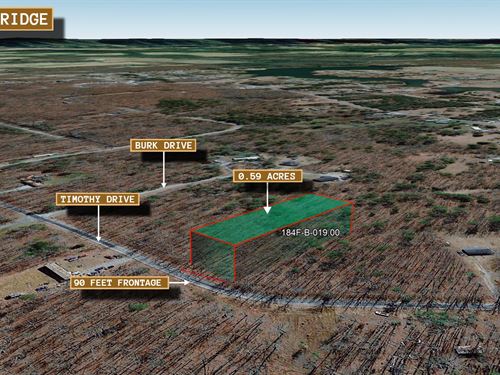 .59 Acre in Crossville, $150/Mo : Crossville : Cumberland County : Tennessee