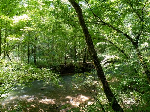 Blue Springs Creek 26 Acres : Blountsville : Blount County : Alabama
