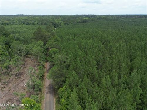 70 Acres of Plantation Pines Pike : McComb : Pike County : Mississippi