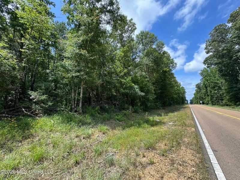 4.25 Acres for Sale in Amite Coun : Liberty : Amite County : Mississippi