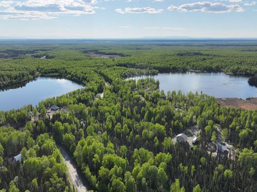 1.3 Acres Near Caswell Lake Alaska : Willow : Matanuska-Susitna Borough : Alaska