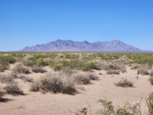 2 Acres, Off-Grid, All Yours : Deming : Luna County : New Mexico