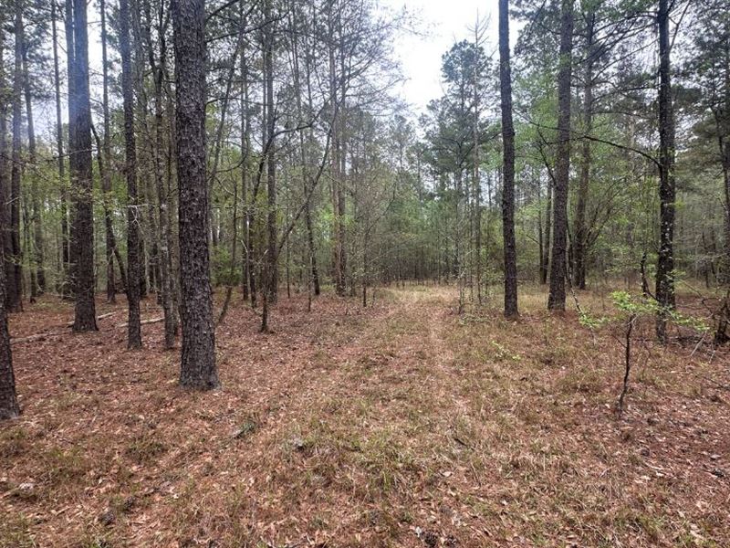 Fred Chance Road : Perkins : Jenkins County : Georgia
