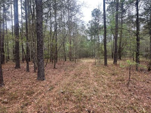 Fred Chance Road : Perkins : Jenkins County : Georgia