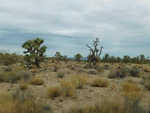 Your Grand Canyon West Gateway Acre : Meadview : Mohave County : Arizona