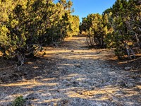 RV Retreat, Borders Blm : Montello : Elko County : Nevada