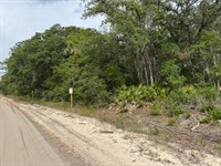Prime Florida Lot, Easy to Build : Interlachen : Putnam County : Florida