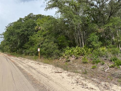 Prime Florida Lot, Easy to Build : Interlachen : Putnam County : Florida