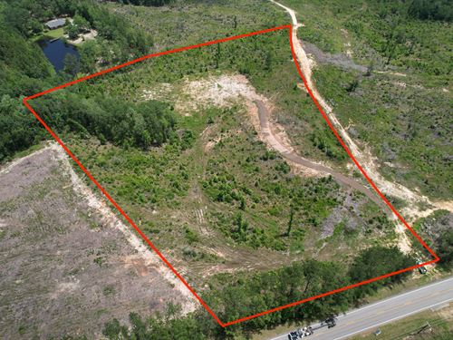 Celeste Road Tract, 10 Acres : Chunchula : Mobile County : Alabama