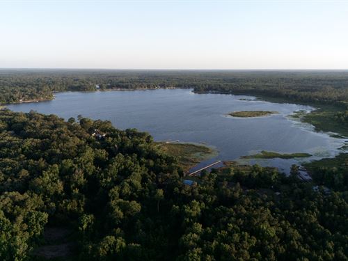 Private Lot Close to Lake Grandin : Interlachen : Putnam County : Florida