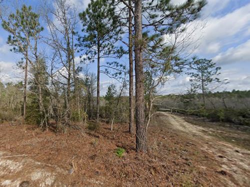 Cheaper Than a Used Car : Interlachen : Putnam County : Florida