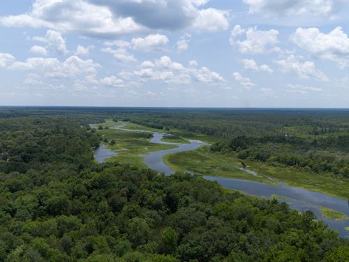 Live Near Lake Ocklawaha : Fort Mc Coy : Marion County : Florida