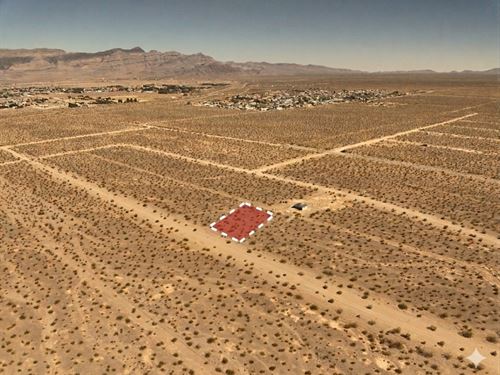 Desert Living with Mountain Views : Pahrump : Nye County : Nevada