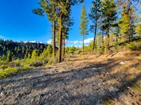 Room to Roam in The Klamath Pines : Chiloquin : Klamath County : Oregon