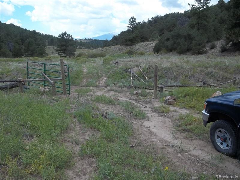Escape to True Wilderness : Turret : Chaffee County : Colorado