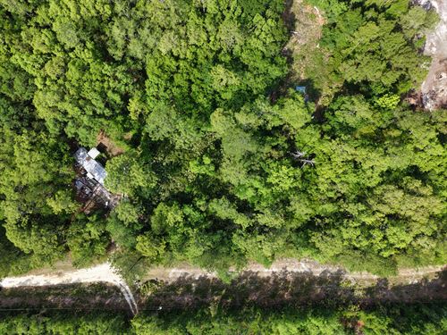 Fresh Air, Fishing & Freedom Awaits : Satsuma : Putnam County : Florida