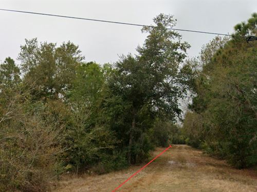 2 Adjoining Lots Near FL Gulf Coast : Punta Gorda : Charlotte County : Florida