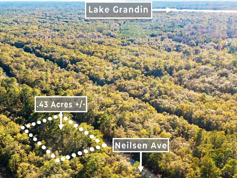 Interlachen Lakes Estates, Double l : Interlachen : Putnam County : Florida