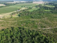 112 Acres on Big Satilla Creek : Bristol : Pierce County : Georgia