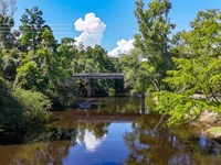 Alapaha River Tract : Lake Park : Echols County : Georgia