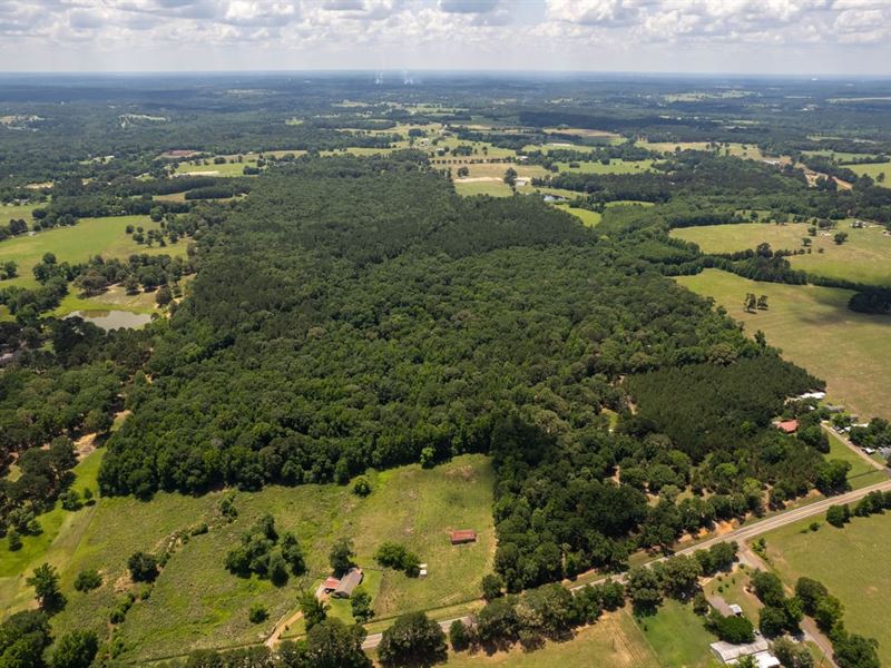 Triple Creek Farm : Hallsville : Harrison County : Texas