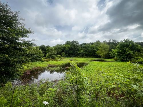 80 Acres With a Small Camp in Nevad : Emmet : Nevada County : Arkansas