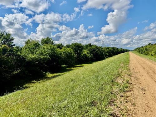 52.5 Acres in Quitman County in Sle : Sledge : Quitman County : Mississippi