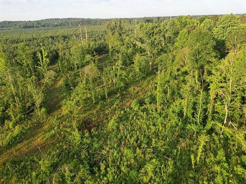 51 Acres in Simpson County in Pinol : Pinola : Simpson County : Mississippi