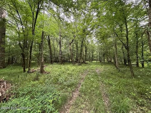 120 Acres For Sale in Osyka, MS : Osyka : Amite County : Mississippi