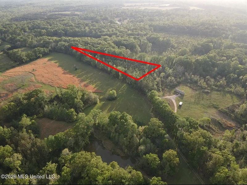 4 Acres for Sale Near Edwards, MS : Edwards : Hinds County : Mississippi