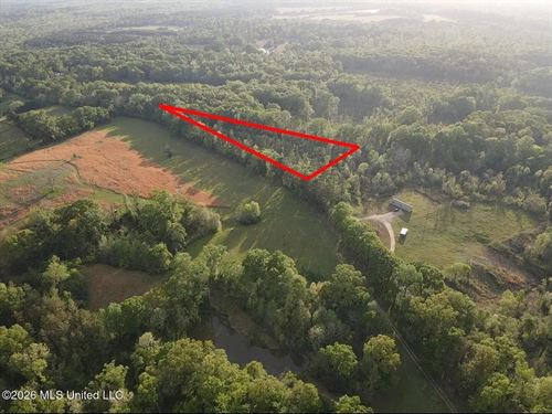 4 Acres For Sale Near Edwards, MS : Edwards : Hinds County : Mississippi