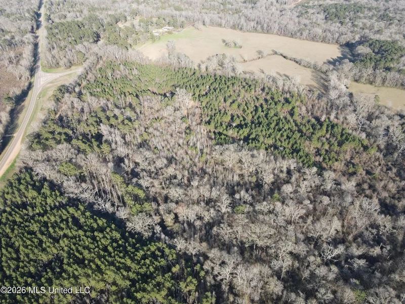 Hazlehurst MS Hunting Land for Sale : Hazlehurst : Copiah County : Mississippi