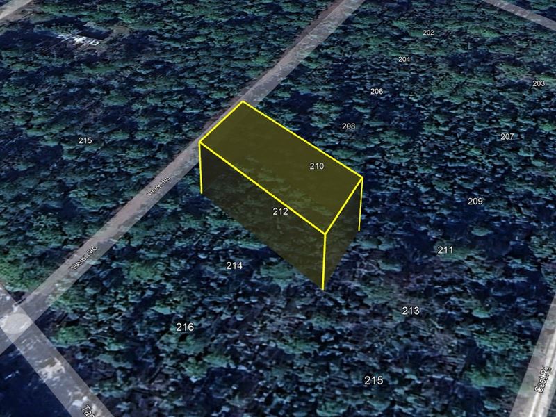 Easy Land Ownership $199 Down : Satsuma : Putnam County : Florida