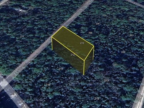 Easy Land Ownership $199 Down : Satsuma : Putnam County : Florida