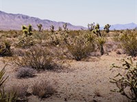 Gold Basin Acre Near Lake Mead : Meadview : Mohave County : Arizona