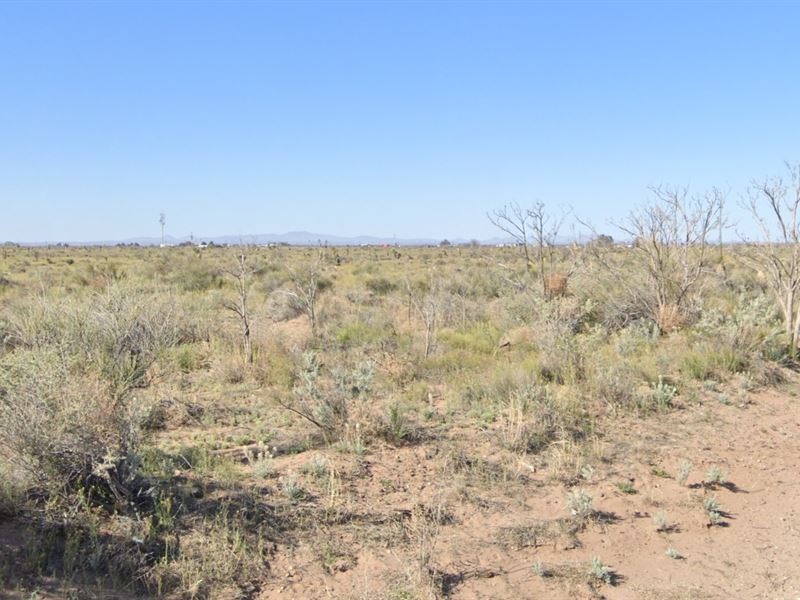 Build Potential with No Zoning : Deming : Luna County : New Mexico