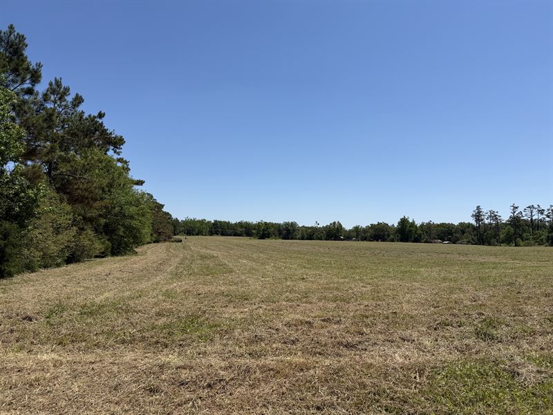 Land for Sale in Tn, Open Land, Hwy : Adamsville : Hardin County : Tennessee