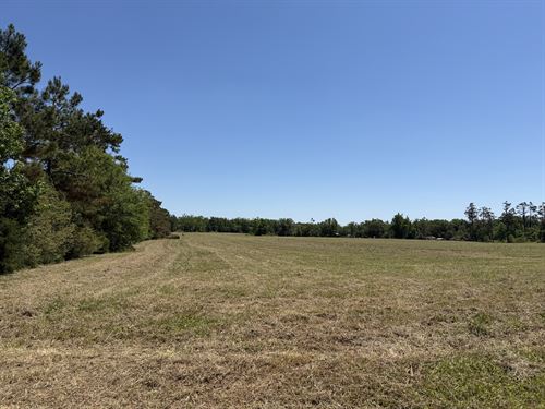 Land for Sale in Tn, Open Land, Hwy : Adamsville : Hardin County : Tennessee