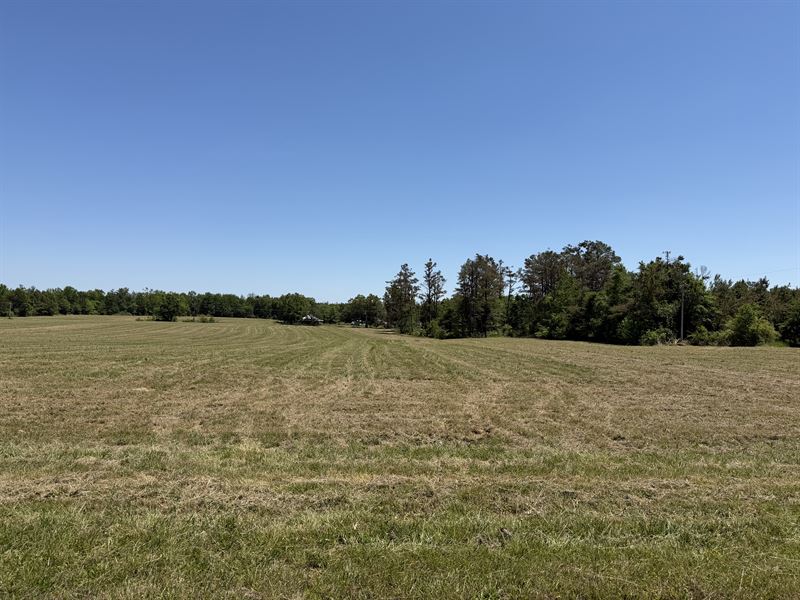 Land for Sale in Tn, Open Land, Hwy : Adamsville : Hardin County : Tennessee
