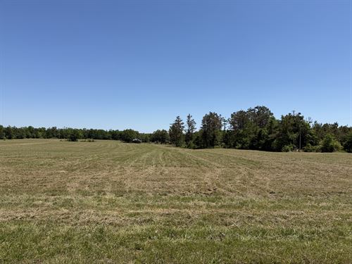 Land for Sale in Tn, Open Land, Hwy : Adamsville : Hardin County : Tennessee